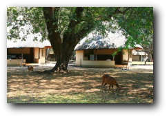 Kruger accommodation Letaba Rest Camp