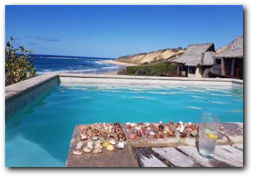 Mozambuique white beaches and tropical clear blue ocean