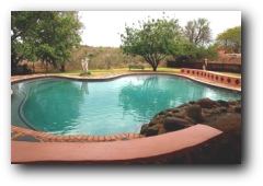 Kruger Park Lower Sabie swimming pool