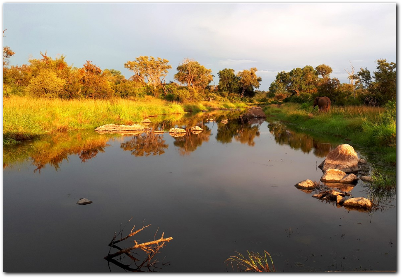 Kruger landscape river and elephants