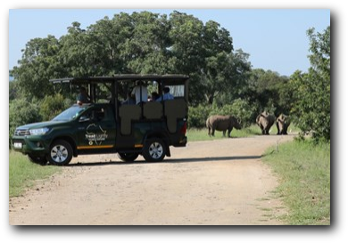 Tread Lightly Tours and Safaris and safari vehicle in Kruger National Park