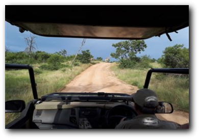 Kruger safari with Tread Lightly Tours and Safaris