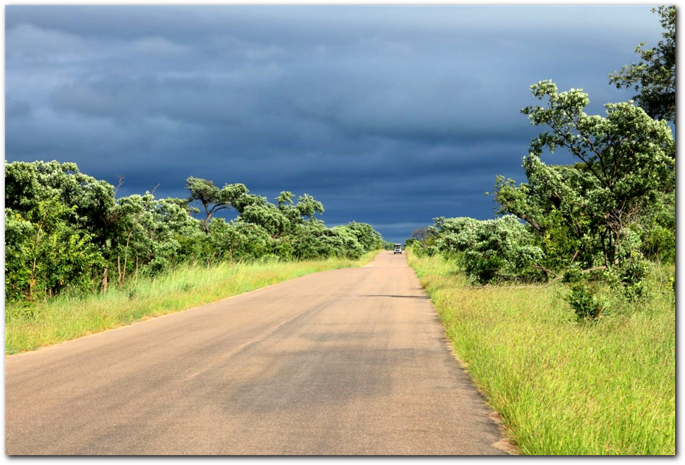 Safari adventure Kruger National Park with storm approaching